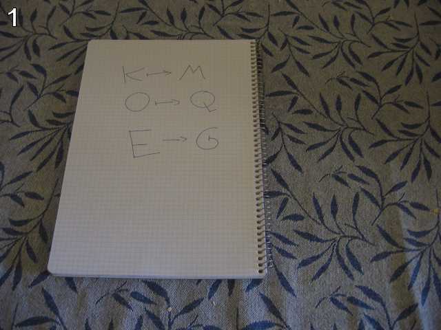 L1 image