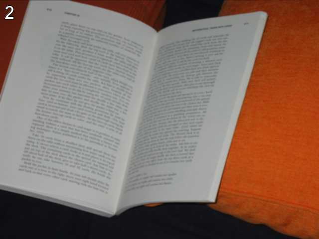 L2 image